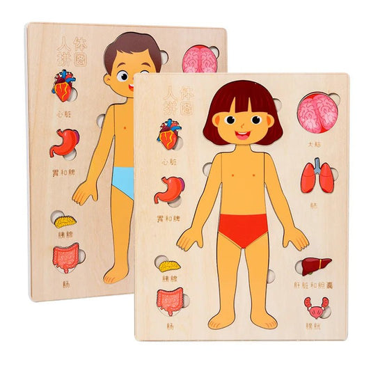 Montessori Puzzles Busy Board Human Body Teaching Learning Body Parts For Children Early Education Games Toddlers Quiet Books - InnovaCuisine
