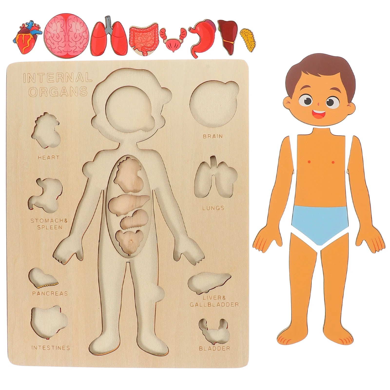 Montessori Puzzles Busy Board Human Body Teaching Learning Body Parts For Children Early Education Games Toddlers Quiet Books - InnovaCuisine