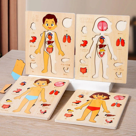 Montessori Puzzles Busy Board Human Body Teaching Learning Body Parts For Children Early Education Games Toddlers Quiet Books - InnovaCuisine